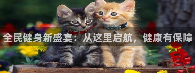 尊龙凯时最新平台登陆：全民健身新盛宴：从这里启航，健康有