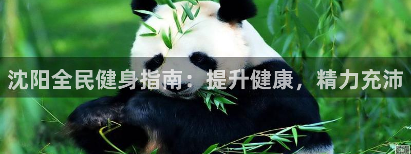 凯时k66官网登录：沈阳全民健身指南：提升健康，精力充沛