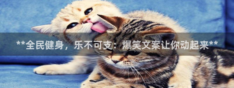 尊龙人生就是博一下首页：**全民健身，乐不可支：爆笑文案