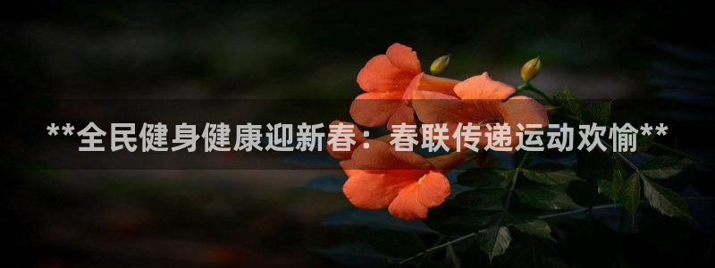 尊龙凯时链接：**全民健身健康迎新春：春联传递运动欢愉*