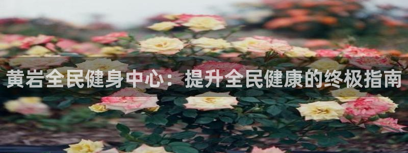 凯时官网：黄岩全民健身中心：提升全民健康的终极指南