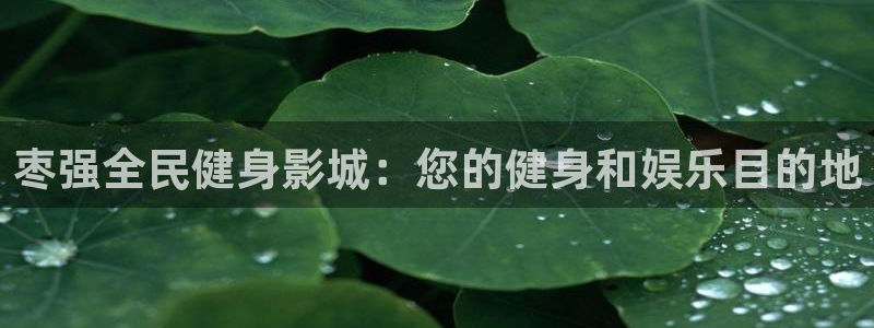 kb88凯时唯一官网注册：枣强全民健身影城：您的健身和娱