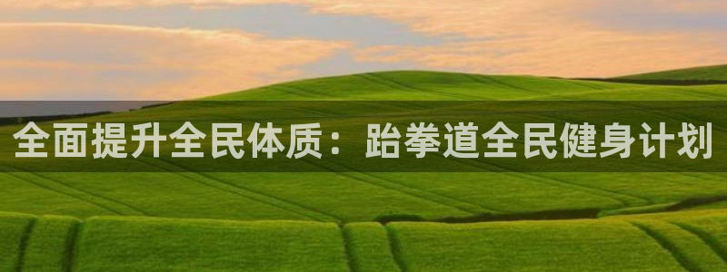 尊龙 5：全面提升全民体质：跆拳道全民健身计划