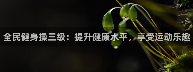 尊龙凯时平台不给出款怎么办：全民健身操三级：提升健康水平