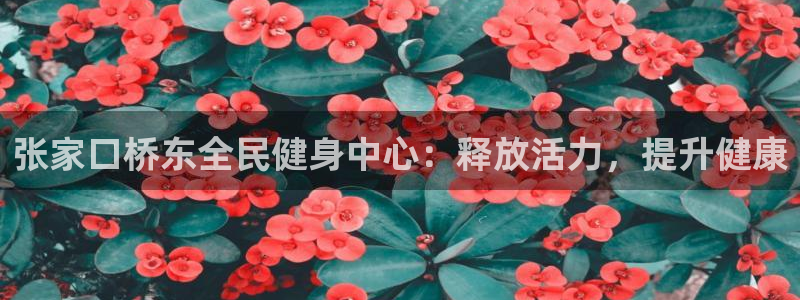 尊龙官方网站最新版V9.3.06：张家口桥东全民健身中心