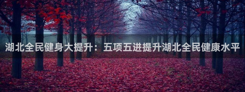尊龙凯时俱乐部：湖北全民健身大提升：五项五进提升湖北全民