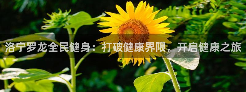 尊龙ag旗舰厅官网官方入口：洛宁罗龙全民健身：打破健康界