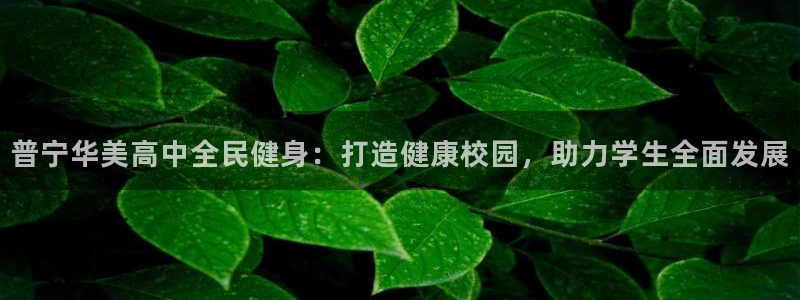 尊龙凯时国际：普宁华美高中全民健身：打造健康校园，助力学