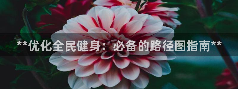 凯时K66最新版本下载：**优化全民健身：必备的路径图指