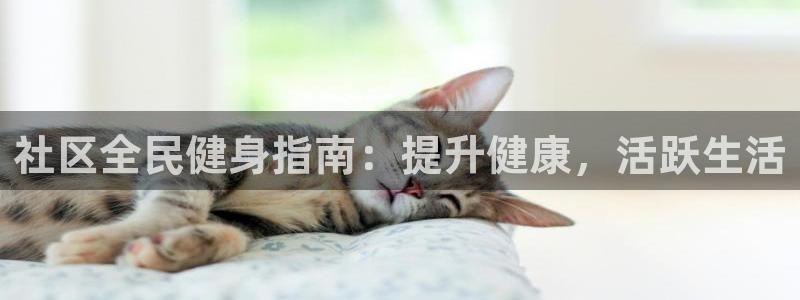 尊龙凯时凯发官网：社区全民健身指南：提升健康，活跃生活