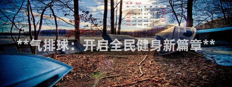 尊龙 下载：**气排球：开启全民健身新篇章**