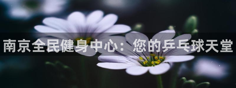 尊龙目前情况：南京全民健身中心：您的乒乓球天堂