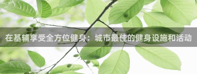 凯时ag旗舰厅登录：在基辅享受全方位健身：城市最佳的健身