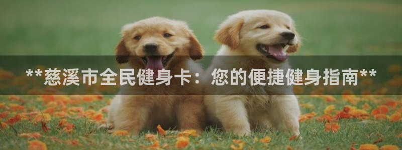 尊龙凯时平台官网：**慈溪市全民健身卡：您的便捷健身指南