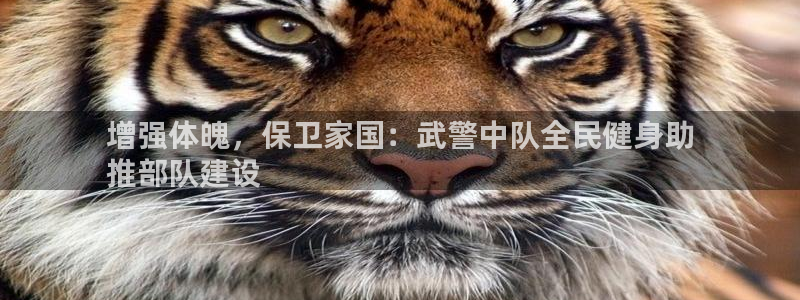 尊龙app下载官网：增强体魄，保卫家国：武警中队全民健身
