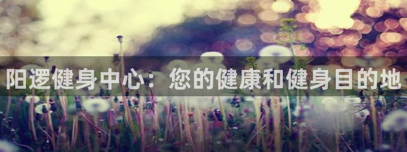 凯时kb88会员登录：阳逻健身中心：您的健康和健身目的地
