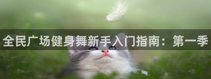 尊龙公司：全民广场健身舞新手入门指南：第一季