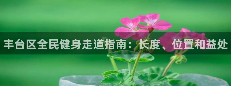 尊龙d88平台版下载：丰台区全民健身走道指南：长度、位置