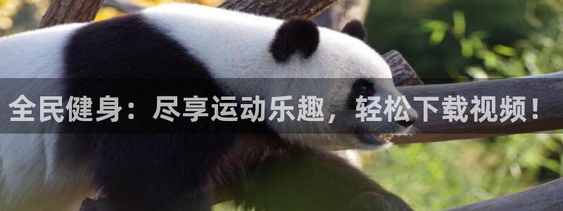 尊龙凯时是哪个国家的：全民健身：尽享运动乐趣，轻松下载视