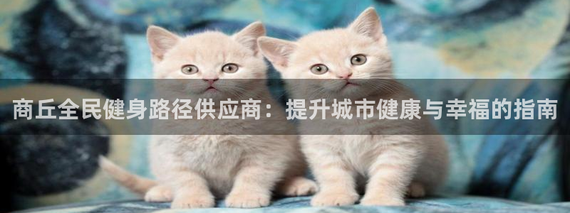尊龙手机版：商丘全民健身路径供应商：提升城市健康与幸福的