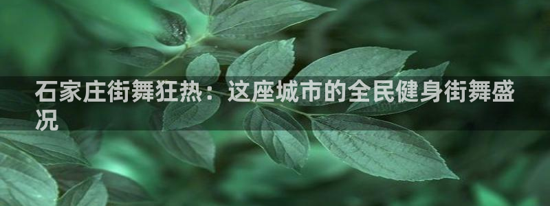 尊龙凯时有限公司：石家庄街舞狂热：这座城市的全民健身街舞
