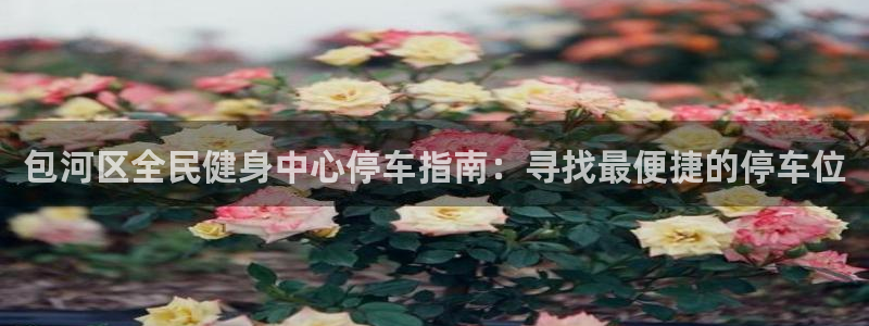 尊龙凯时怎么样没听说过：包河区全民健身中心停车指南：寻找