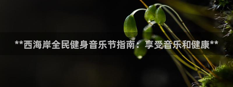 尊龙AG旗舰厅app下载：**西海岸全民健身音乐节指南：