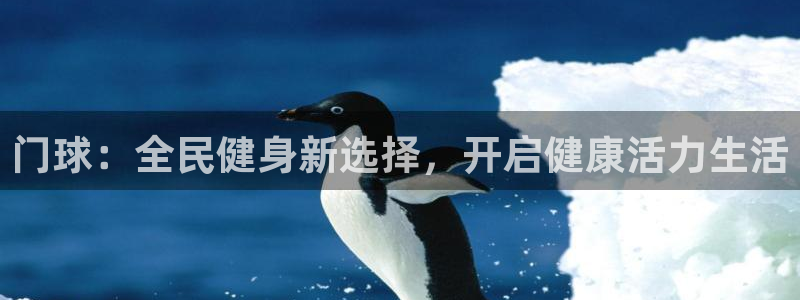凯时kb88官方：门球：全民健身新选择，开启健康活力生活