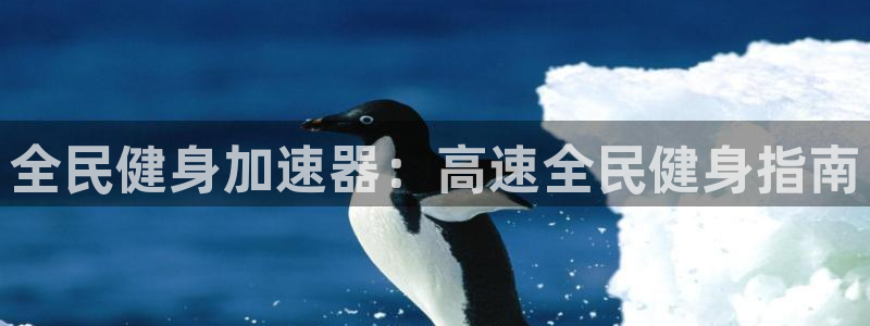 凯时登录：全民健身加速器：高速全民健身指南