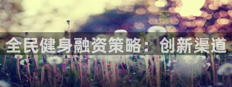 尊龙网站 人生就是博：全民健身融资策略：创新渠道