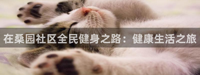 尊龙凯时产品系列：在桑园社区全民健身之路：健康生活之旅