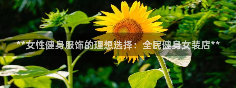 尊龙凯时app产品介绍：**女性健身服饰的理想选择：全民