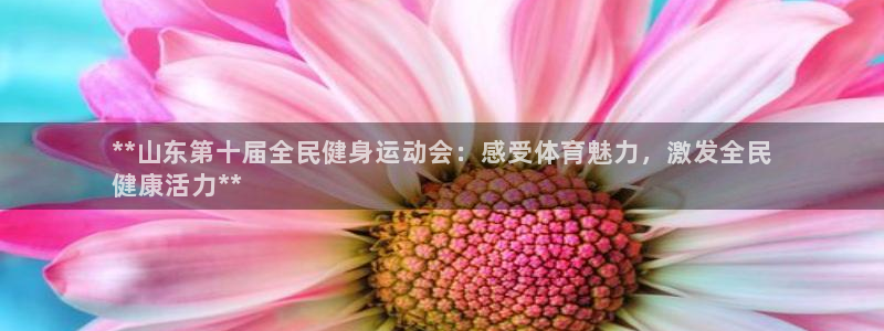 尊龙凯时白家乐：**山东第十届全民健身运动会：感受体育魅