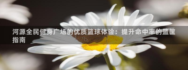 尊龙D88现金旧版：河源全民健身广场的优质篮球体验：提升