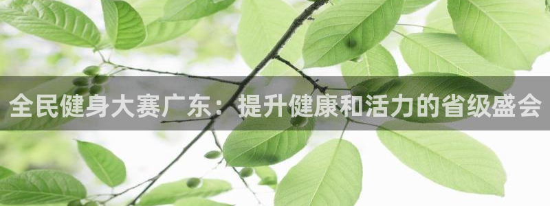凯时AG网：全民健身大赛广东：提升健康和活力的省级盛会