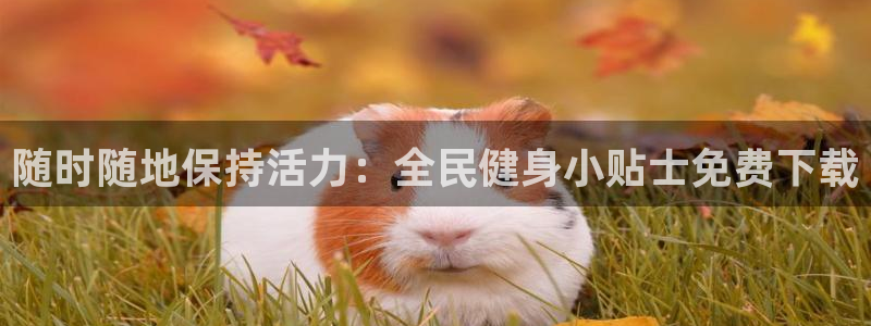 尊龙凯时d3563：随时随地保持活力：全民健身小贴士免费