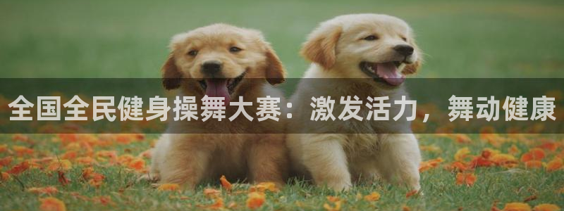 尊龙 6：全国全民健身操舞大赛：激发活力，舞动健康