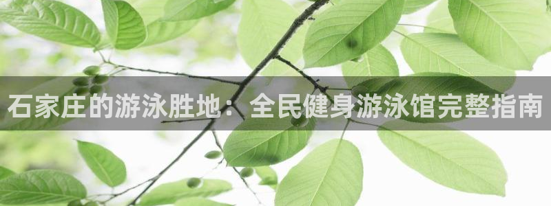 尊龙凯时 人生就是搏客服：石家庄的游泳胜地：全民健身游泳