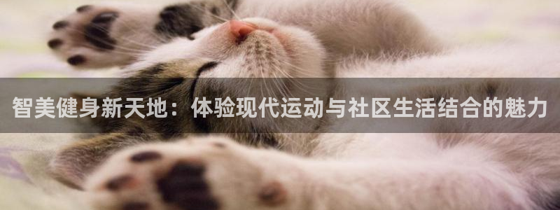 尊龙目前情况
