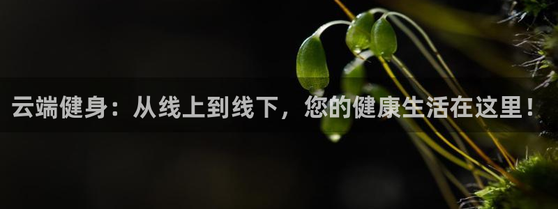 尊龙凯时网站怎么样