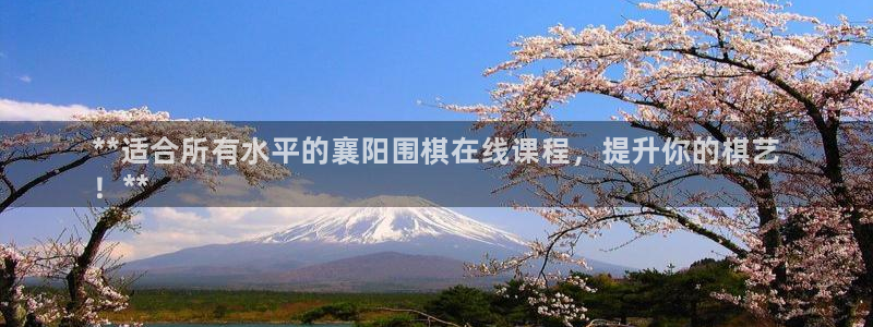 尊龙AG旗舰店：**适合所有水平的襄阳围棋在线课程，提升