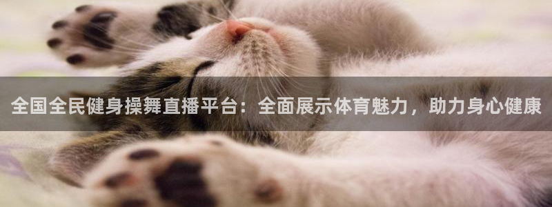 尊龙凯时人生就是搏z6com