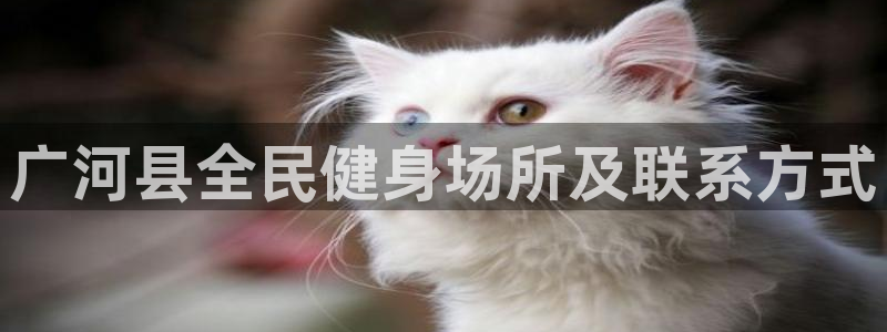 尊龙凯时平台正规吗：广河县全民健身场所及联系方式